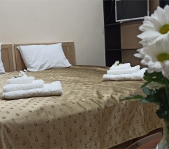 Двухместный номер (стандартный двухместный номер с кроватью king-size) в Spa-hotel Plaza