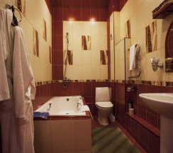 Номер полулюкс в Центральная