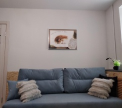 1-комнатные апартаменты студия с двухъярусной кроватью #1 в Easy Studio на улице Пушкинская