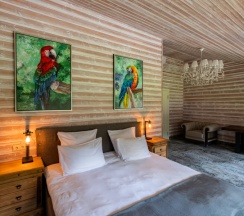 Мансарда №5 в Busel park hotel