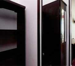 ТВИН без балкона в Диса