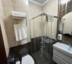 Люкс в Панорама