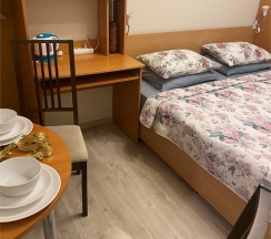 Двухместный номер с 1 двуспальной кроватью в Чижик-Пыжик