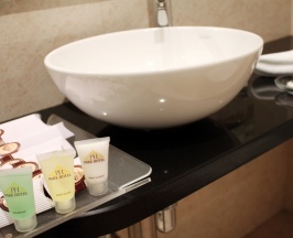 Двухместный номер Standard 2 отдельные кровати в Park Hotel Bishkek