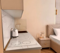 г.Санкт-Петербург ул.Черняховского д.56 в Апартаменты Чей Чемодан