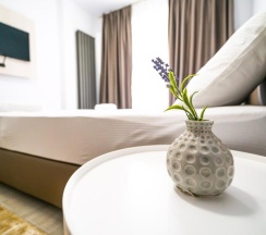 Апартаменты c 1 комнатой в Alezzi Beach Resort