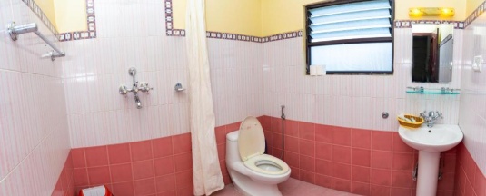 Номер Deluxe в Butterfly Lodge