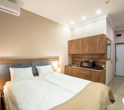 Двухместный номер-студия Comfort двуспальная кровать в Ботанический сад