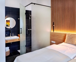 Двухместный номер Deluxe (2 отдельные кровати) в Erkan Alek Heritage Hotel