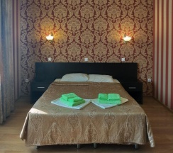 Двухместный номер Standard с балконом 2 отдельные кровати в Аист