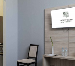 Студия в Русские сезоны