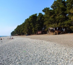 Апартаменты в Пашка Хаус 