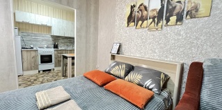 Томск: Апартаменты Апартаменты NHome