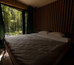 апартаменты с 1 спальней в Кривоборье