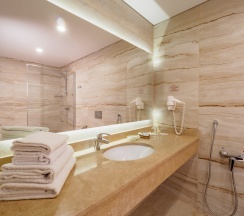 Улучшенный Плюс (Double/Twin) в Премьер Отель