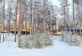 Коттедж Курорт Большое Борково в Ленинградской области