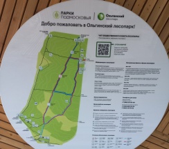 Квартира в Апартаменты на Корнилаева 3