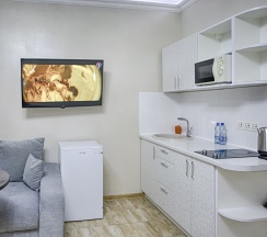 Двухместные апартаменты 5 с видом на парк двуспальная кровать в Exclusive Hotel&Apartments