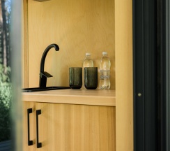 ДОМ ЛЕС  (Дом в Лесу) в Катунь Dom Hotels