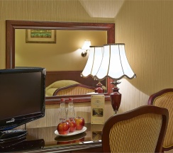 Стандартный одноместный номер / Standard single room в Шереметьевский