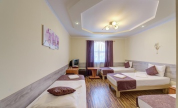 Номер стандарт семейный в Замок