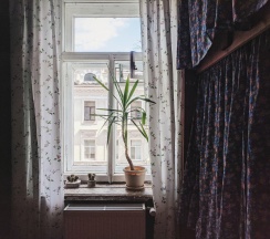 Botanic (femail) Room в Polosaty space
