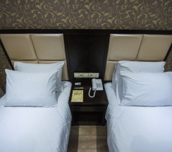 Двухместный номер Economy 2 отдельные кровати в Отель Tbilisi Inn
