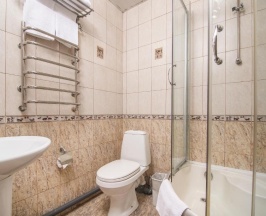 Номер стандарт с 1 двуспальной кроватью в Наутилус