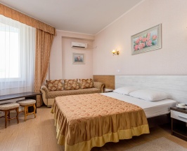 Номер увеличенной площади с 1 двуспальной кроватью (корпус В) в Русич