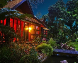 Одноместный номер Economy в Areeya Phuree Resort