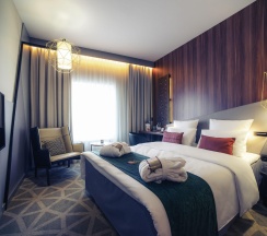 Номер стандарт с 1 двуспальной кроватью в Mercure Саранск Центр