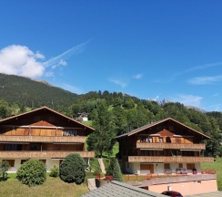 Одноместный номер Standard в Gletschertal