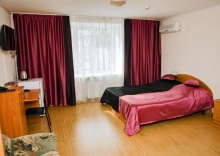 1-комнатный номер комфорт с 1 двуспальной кроватью в Визит