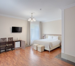 Улучшенный семейный номер с 1 двуспальной кроватью и раскладным диваном в Парк-отель