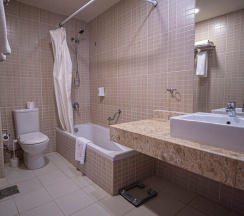 Семейный номер Standard с видом на город в Elysees Hotel