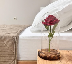 Номер студия в Солнце Тургенева