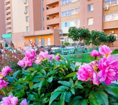 Квартира в Апартаменты на ул. Карбышева, 61А