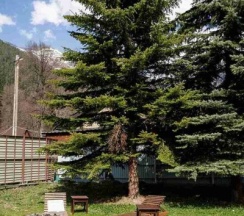 двухкомнатный с балконом в Панорама Архыз