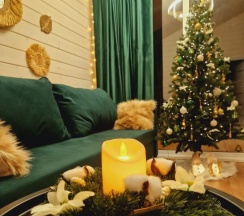 Домик №3 (барн) в Айда relax