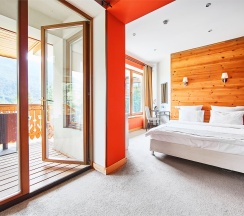 Улучшенный стандартный DBL в Park chalet