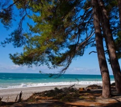 Апартаменты в Пашка Хаус 