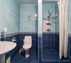 Коттедж-Студио в Салют