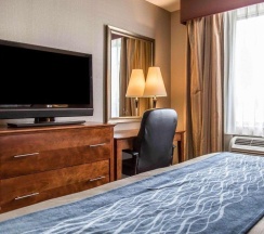 Двухместный номер Standard в Avion Inn Near LGA Airport, Ascend Hotel Collection