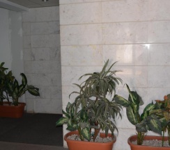 Апартаменты с видом на море в Sunorama Beach Garden 302