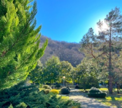 Квартира в Goodwill