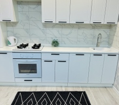 Квартира в Апартаменты на Земнухова 3