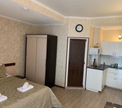 Классический номер Студио без балкона на 2 человека в Апартаменты на Тюльпанов