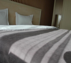 Двухместный номер Business двуспальная кровать в King Hotel Astana