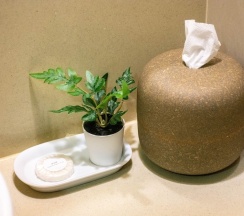 Номер Superior в Chor Cher - The Luxury Green Hotel
