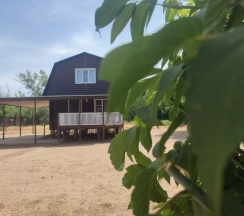 Домик Комфорт 6ти местный в Гремучий